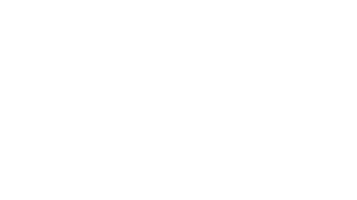 Plogo-30